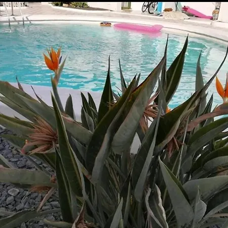 Casa Ohana Volcan شقة
